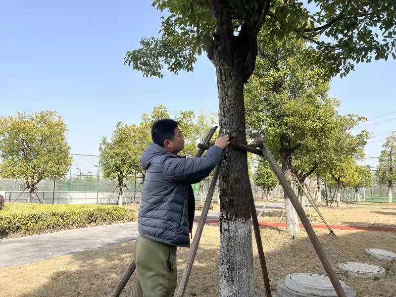 践行雷锋精神,苏体场馆在行动